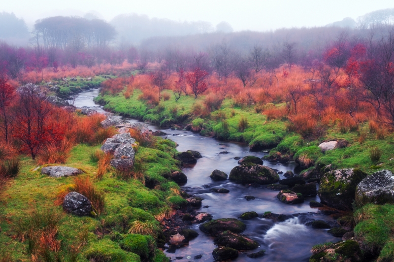 MISTY DARTMOOR