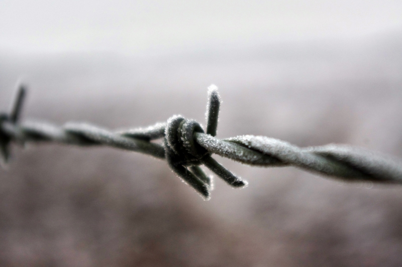 WINTER WIRE