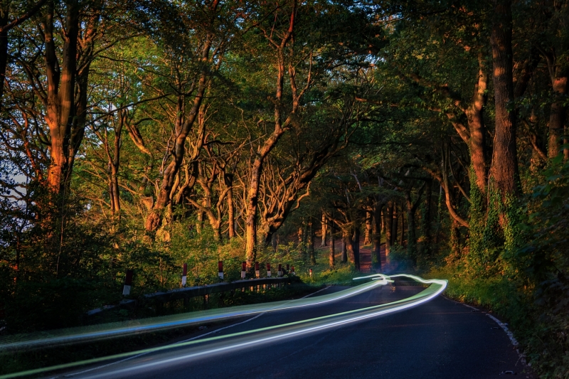 kewstoke-road-HD