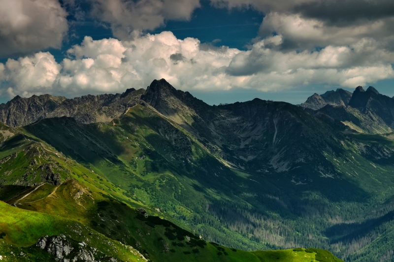 TATRAS
