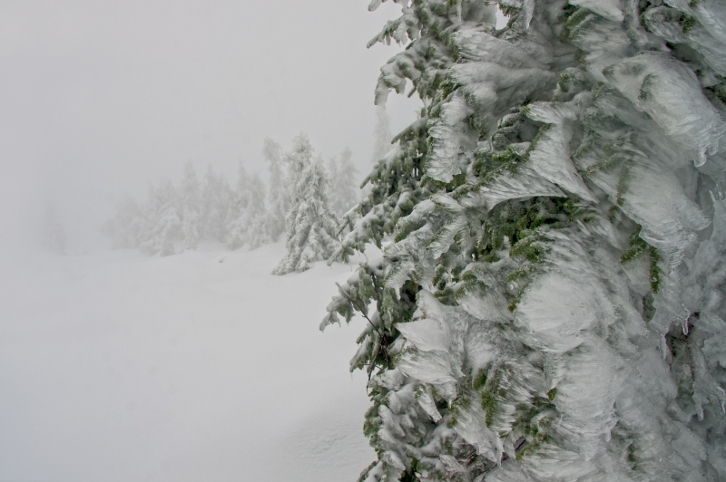 ICE AND  SNOW