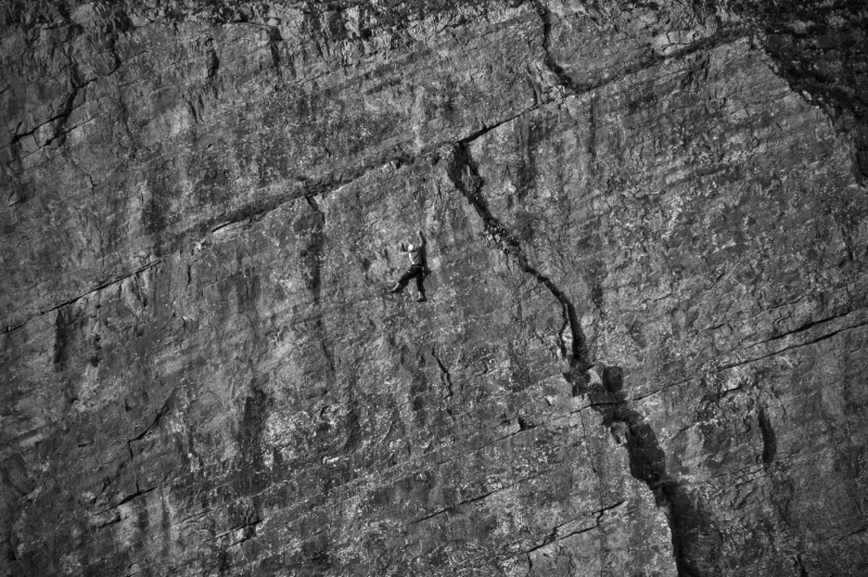 THE WALL